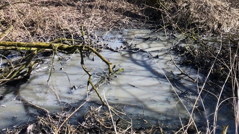Наро-фоминские коммунальщики прекратили загрязнение рек после вмешательства Минэкологии